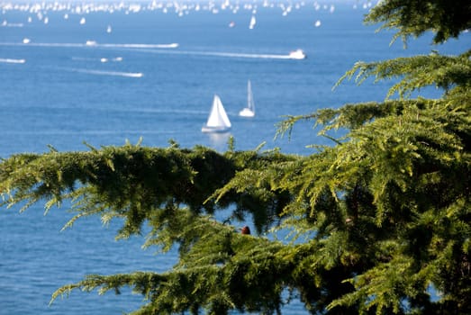 Barcolana 2010, The Trieste regatta  - Italy