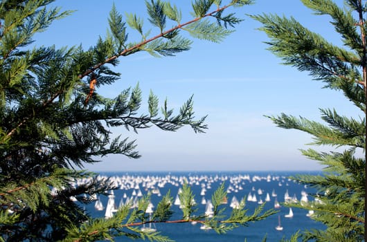 Barcolana 2010, The Trieste regatta  - Italy