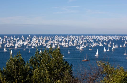 Barcolana 2010, The Trieste regatta  - Italy