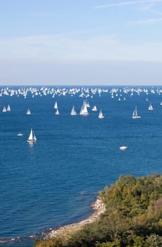 Barcolana 2010, The Trieste regatta  - Italy