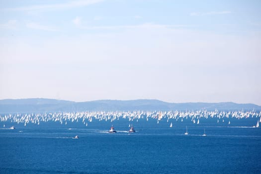 Barcolana 2010, The Trieste regatta  - Italy