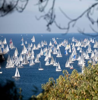 Barcolana 2010, The Trieste regatta  - Italy
