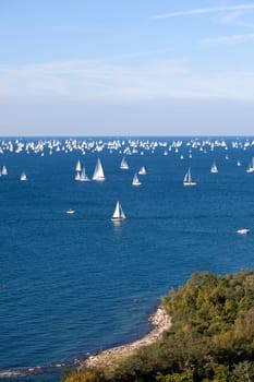 Barcolana 2010, The Trieste regatta  - Italy
