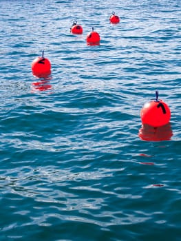 Buoy numbered on the sea