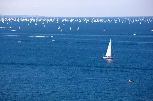 Barcolana 2010, The Trieste regatta  - Italy