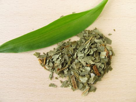 Wild garlic herb,Allii ursini herba