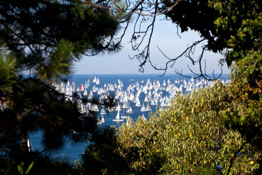 Barcolana 2010, The Trieste regatta  - Italy