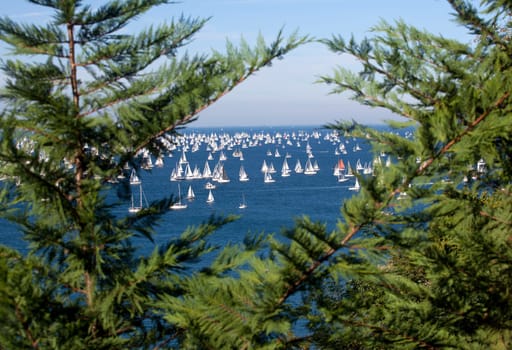 Barcolana 2010, The Trieste regatta  - Italy