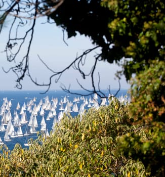 Barcolana 2010, The Trieste regatta  - Italy