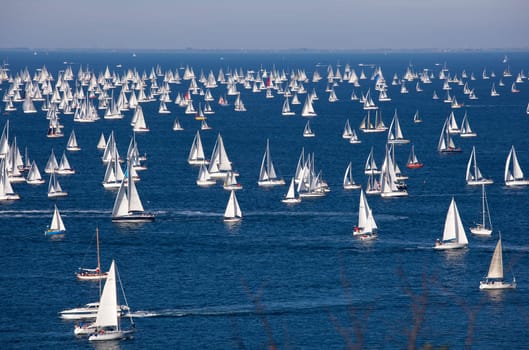 Barcolana 2010, The Trieste regatta  - Italy