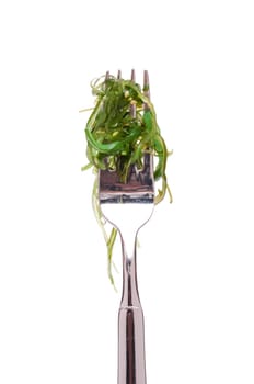 Green seaweed on a fork against white isolated background