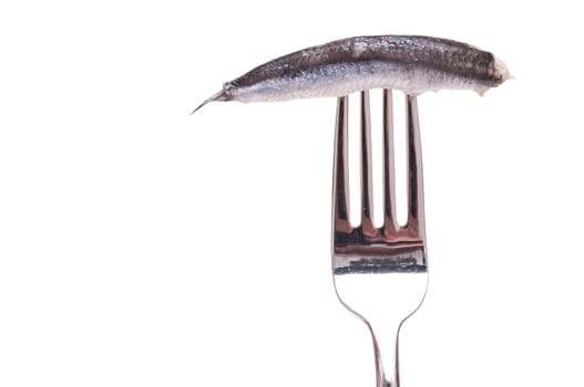 White Cut-Out Fork with a Sardine