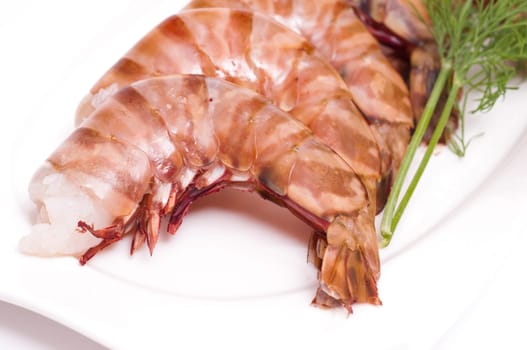 Raw deep-sea shrimp with dill on a plate