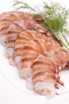 Six raw shrimps with dill on a plate