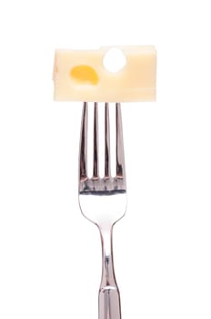 Emmental cheese on a fork and white isolated