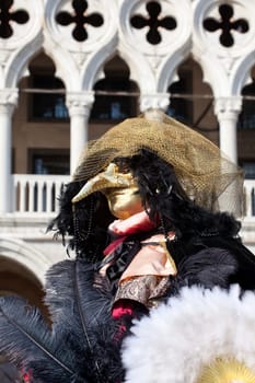 Mask in the Venice carnival