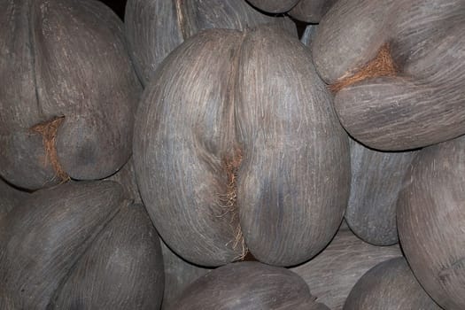 Coco de Mer