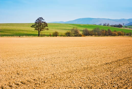 Landscape of fields ready for cultivation, trees and hills in the background
