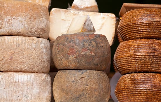 Photo of delicious italian cheese