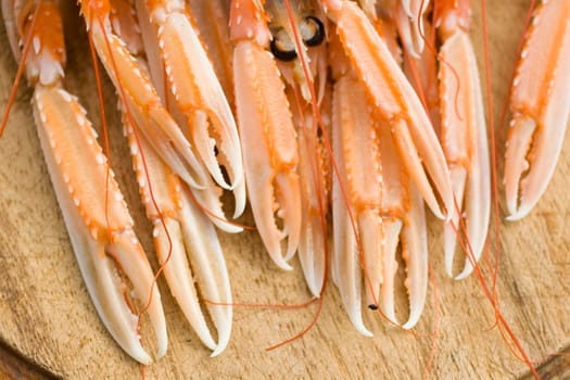Close up of the Pliers Nephrops