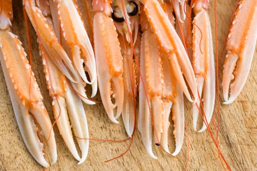 Close up of the Pliers Nephrops