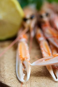 Close up of fresh scampi