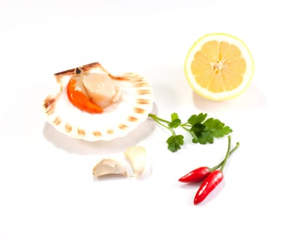 Cappesante and lemon on a white background