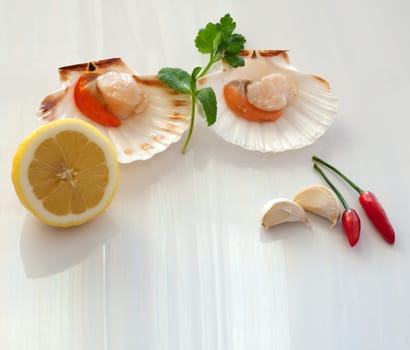 Cappesante and lemon on a white background