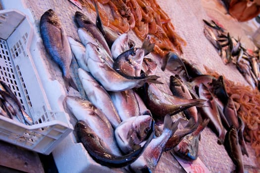 Shrimp on a table, fish market