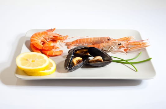 Crustacean and mussels on dish on white background