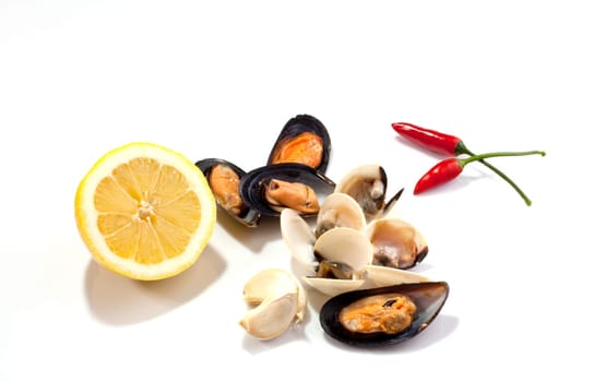 Mussels and clams on white background