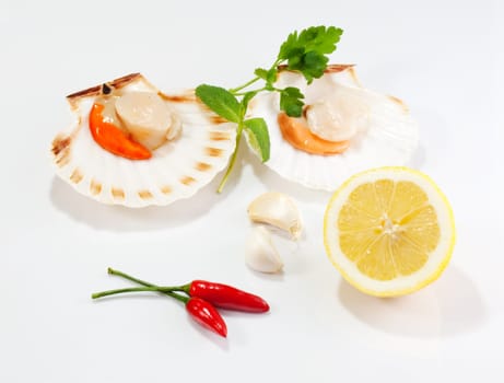 Cappesante and lemon on a white background
