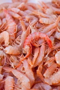 Shrimp on a table, fish market