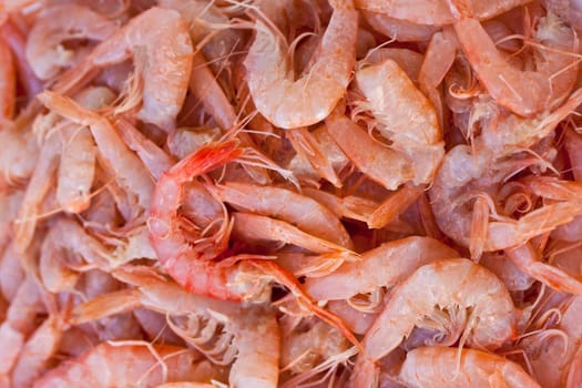 Shrimp on a table, fish market