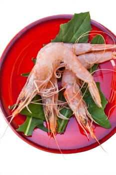 Shrimps inside a red saucer