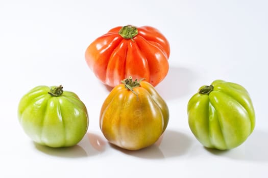 Various fresh tomatoes on a white background