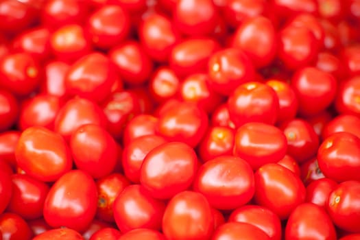 A lot of fresh tomatoes