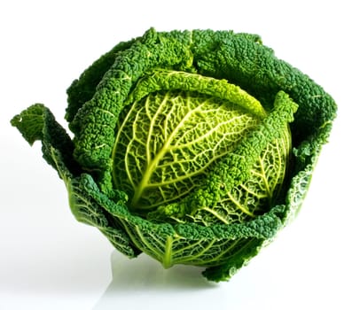 Savoy cabbage isolated on a white background
