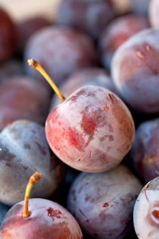 Photo of biological purple plums