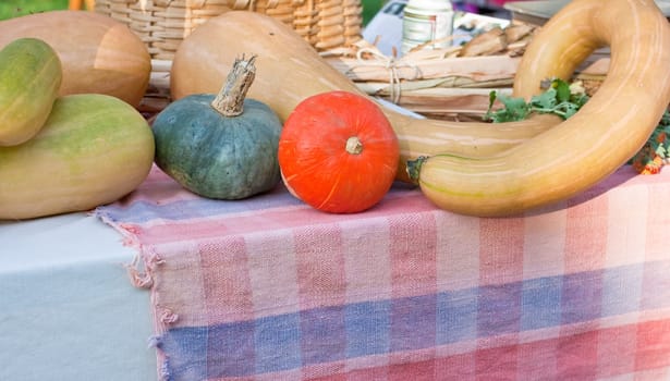 Various different pumpkins on a street market