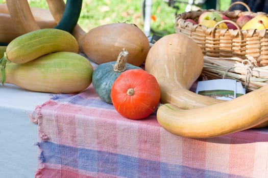 Various different pumpkins on a street market