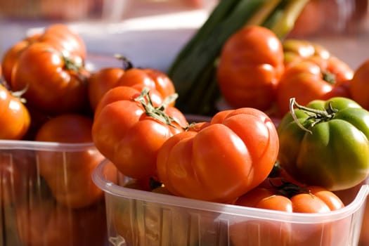 A lot of fresh tomatoes