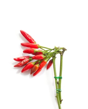 Red hot chili peppers peppers isolated on white