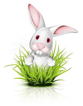 Little white rabbit  on reflective grass