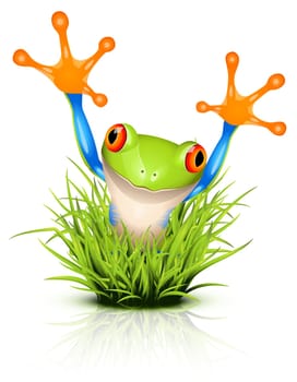 Little tree frog on reflective grass
