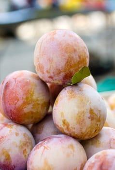 Photo of delicious fresh plums