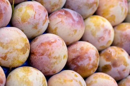 Photo of delicious fresh plums