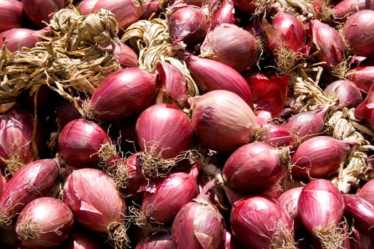 Photo of red Onions background