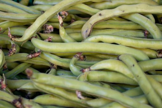 Photo of biological String Beans