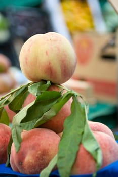 Photo of delicious fresh peaches